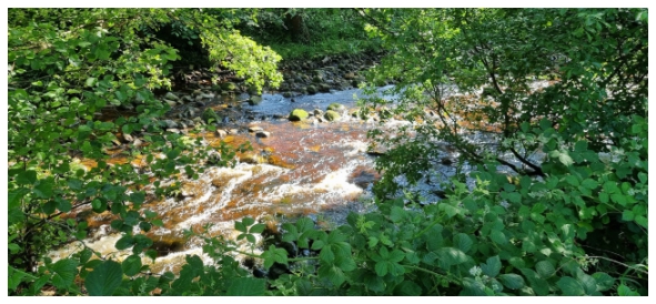 River Roeburn
